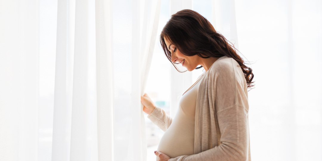 Pregnant woman posing in front of window